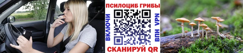 Галлюциногенные грибы MAGIC MUSHROOMS Бугуруслан