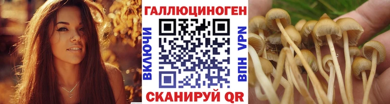 Галлюциногенные грибы MAGIC MUSHROOMS Бугуруслан
